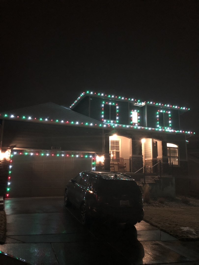 Christmas Lights 3497
