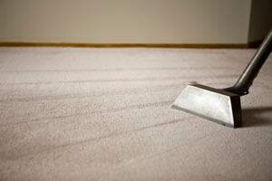 Carpet Cleaning 1