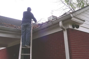 Gutter Cleaning 3