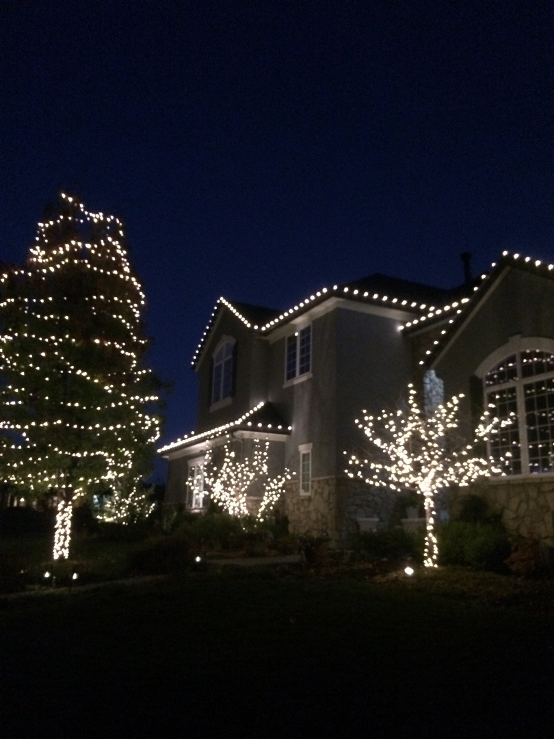 Christmas Lights 655