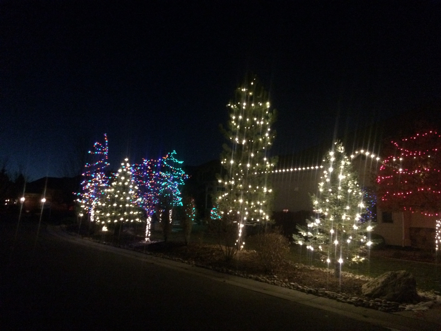 Christmas Lights 83