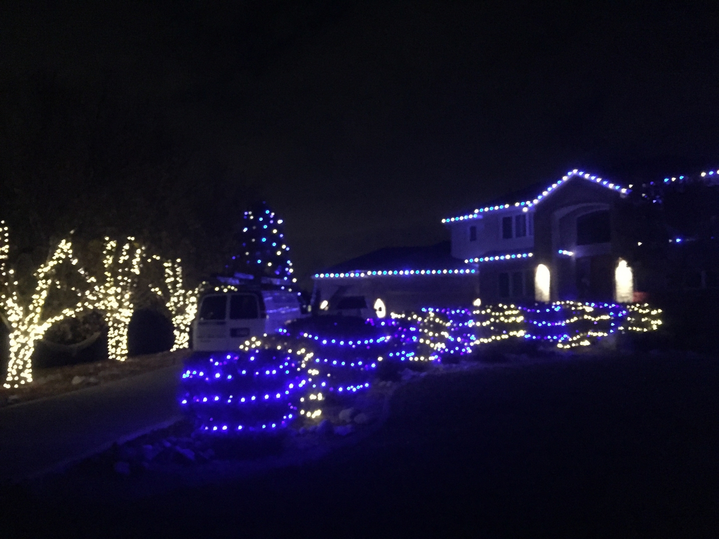 Christmas Lights 1397