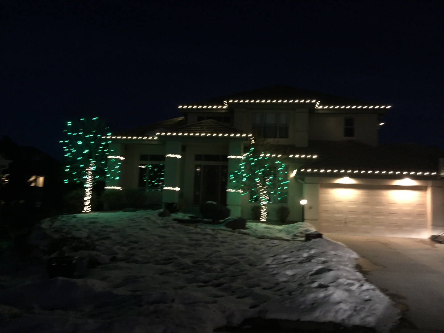 Christmas Lights 1427