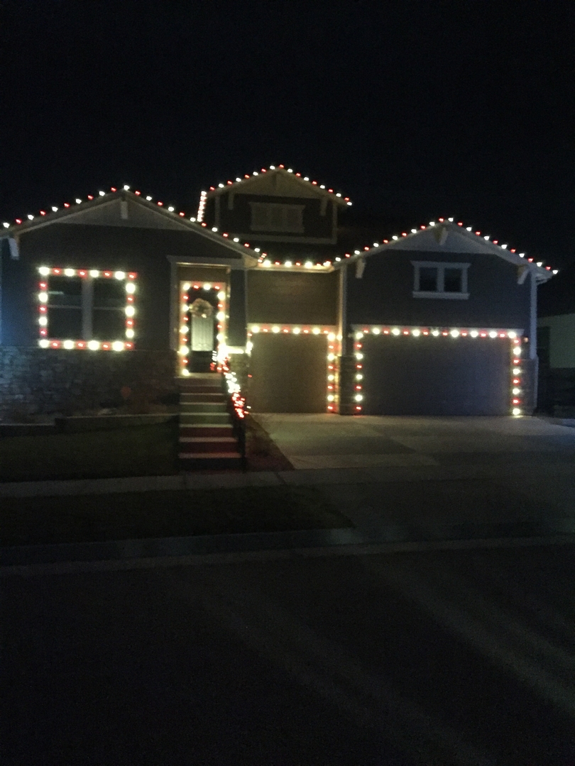 Christmas Lights 3041