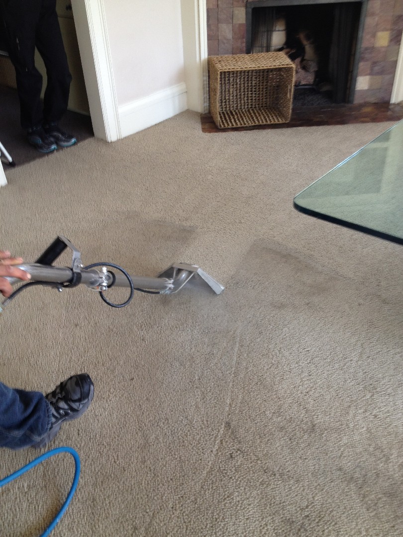 Carpet Cleaning Before and After