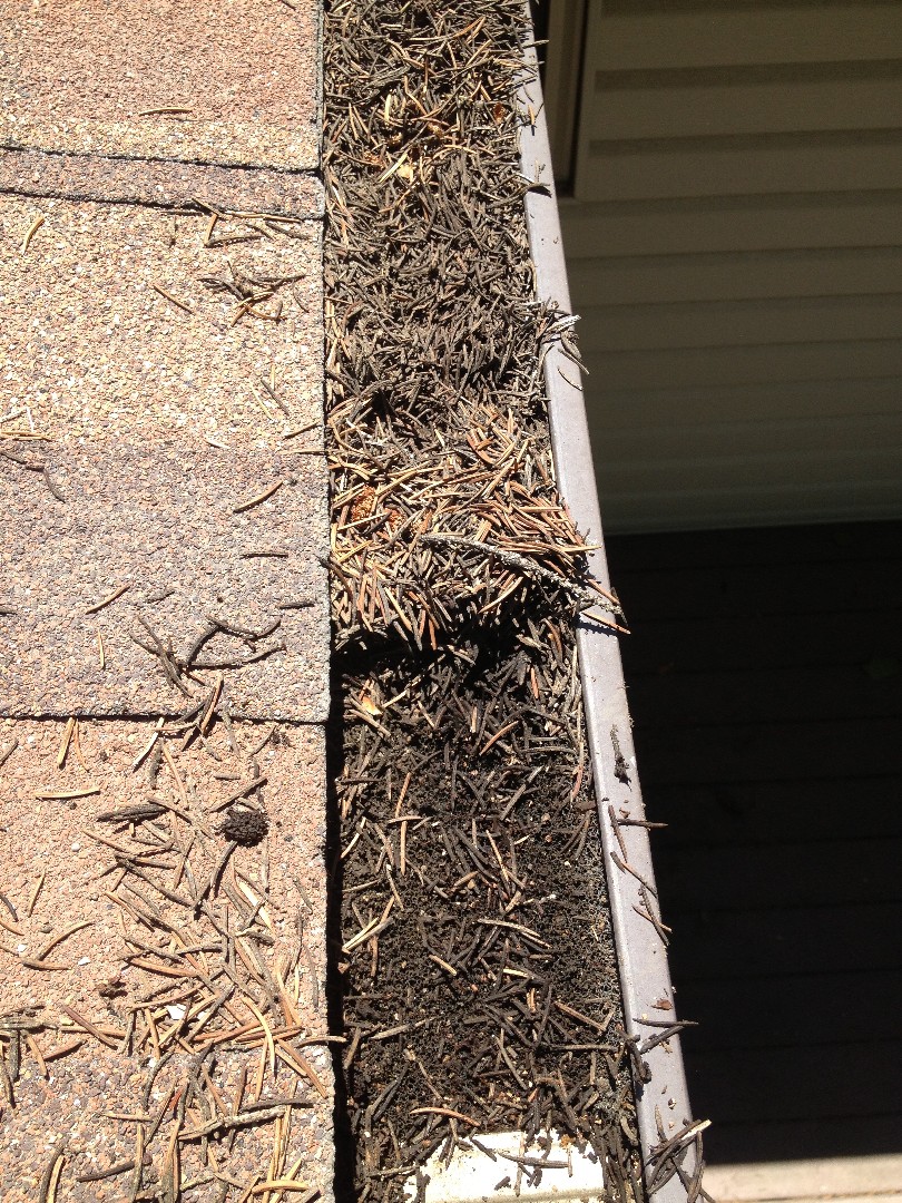 Gutter Cleaning Pine Needles