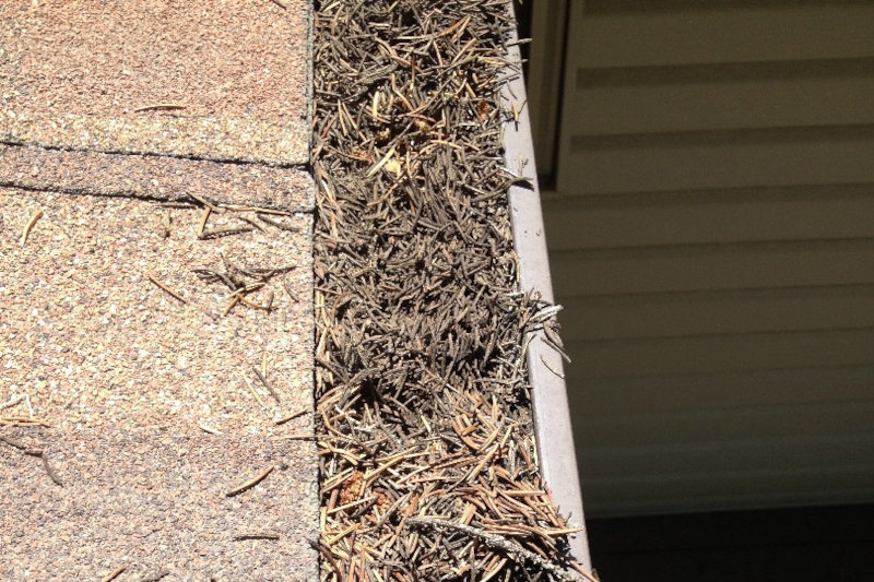 Gutter Cleaning